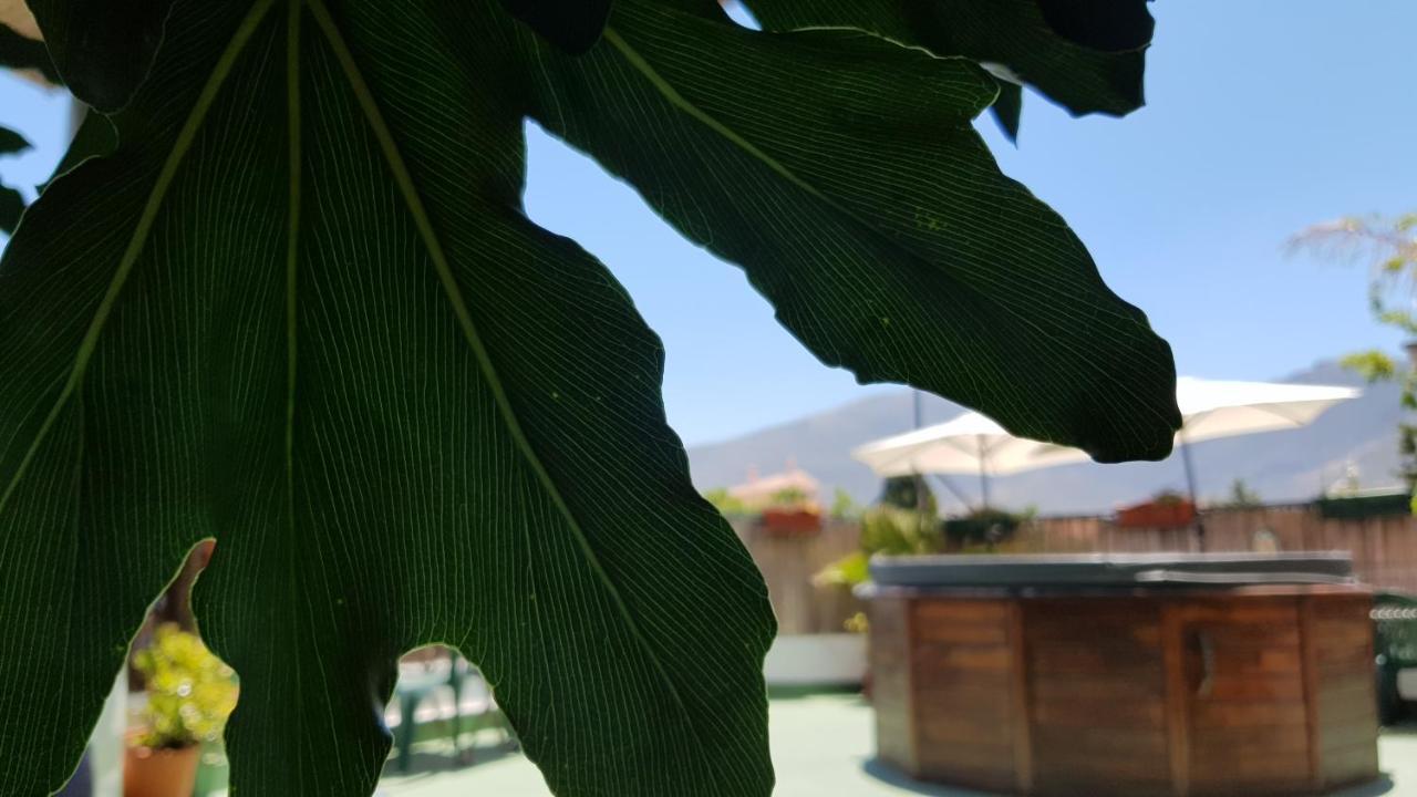 Hotel Posada Alpujarra Sol Orgiva Exterior foto